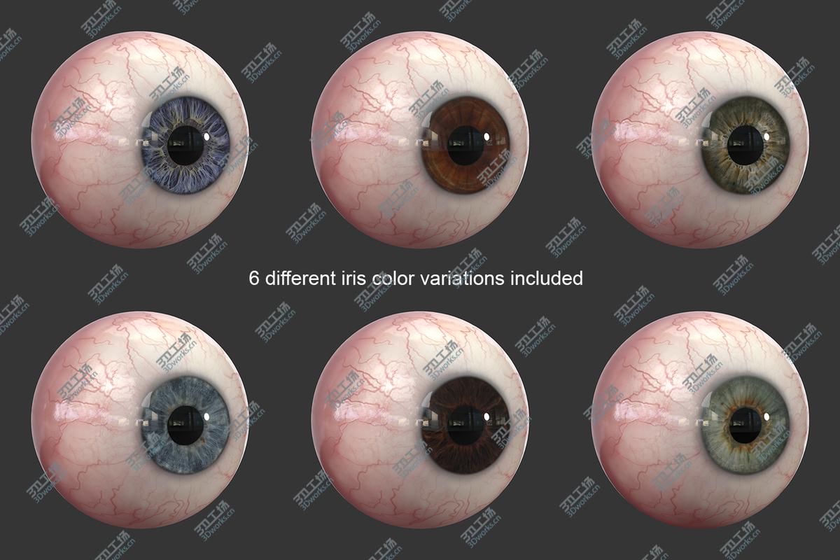 images/goods_img/20210319/Realistic Human Eye/2.jpg